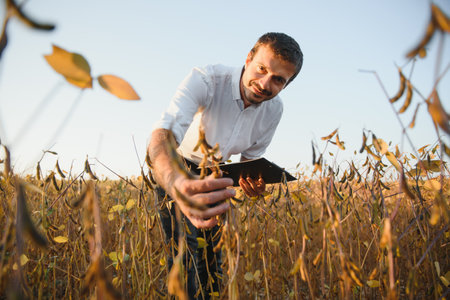 Agronomist inspects soybean crop in agricultural field - Agro concept - farmer in soybean plantation...