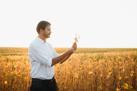 Agronomist inspects soybean crop in agricultural field - Agro concept - farmer in soybean plantation...