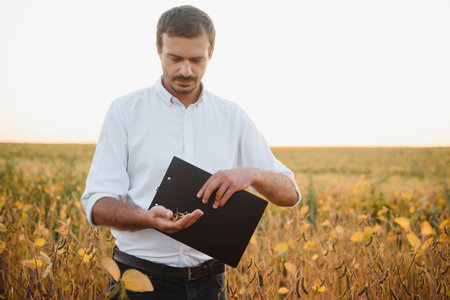 Agronomist inspecting soya bean crops growing in the farm field. agriculture production concept....