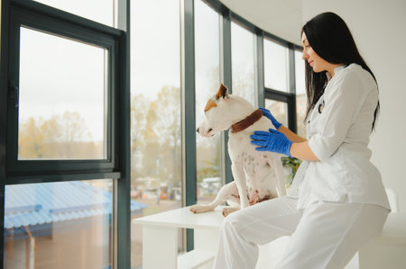 medicine, pet, animals, health care and people concept - happy veterinarian and dog at vet clinicの写真素材