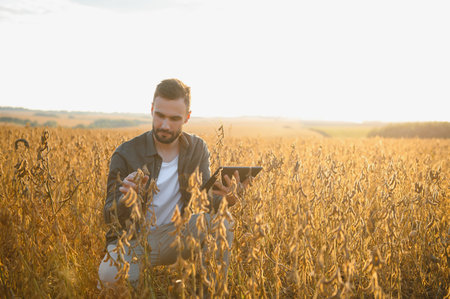 Farmer standing in soybean field at sunset