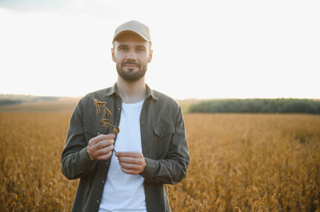 farmer or agronomist in soybean field examining crop at sunset.の写真素材