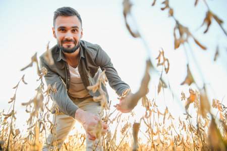 Farmer agronomist on a soybean field. Agricultural industry