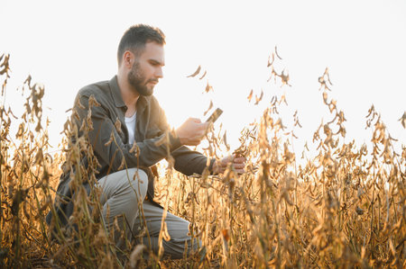 Agronomist inspects soybean crop in agricultural field - Agro concept - farmer in soybean plantation...