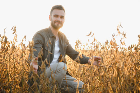 Young handsome farmer in soybean field at sunset. An agronomist examines the soybean crop