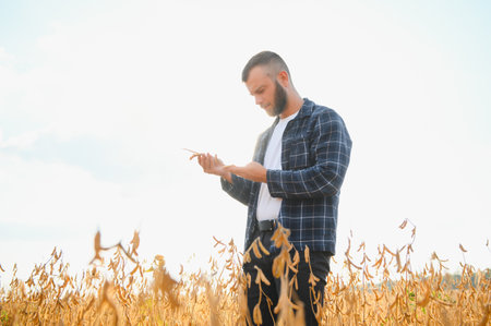 farmer agronomist in soybean field checking crops. Organic food production and cultivation.の写真素材