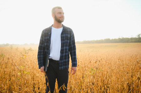 A young handsome farmer or agronomist examines the ripening of soybeans in the field before harvesting.の写真素材