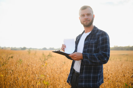 armer inspects soybeans before harvesting. The concept of agricultural industry.