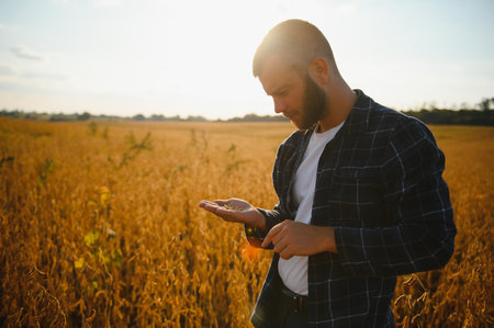 farmer agronomist in soybean field checking crops. Organic food production and cultivation.の写真素材