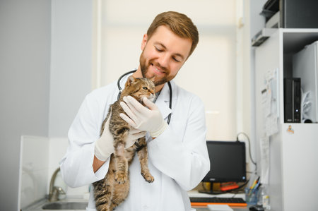 Handsome young veterinarian holding cat in clinic.の写真素材