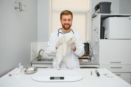 Cat visiting vet for regular checkup.の写真素材