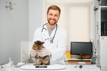 Handsome young veterinarian holding cat in clinic.の写真素材