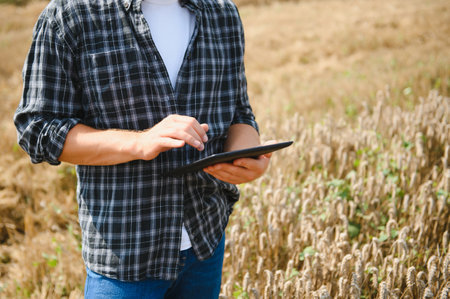 Man farmer in wheat field at sunset. Farming and agricultural harvesting.の写真素材