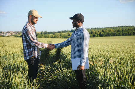 handshake farmer wheat. business partnership agriculture concept. two multiracial farmers shaking hands.の写真素材