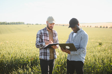 Two multiracial farmer standing in a wheat field with laptop, They are examining the crop at sunset.の写真素材