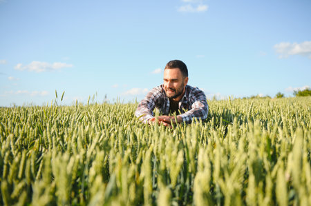 Happy bearded farmer in cap standing on agricultural wheat field.