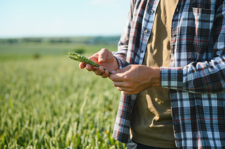 Happy bearded farmer in cap standing on agricultural wheat field.