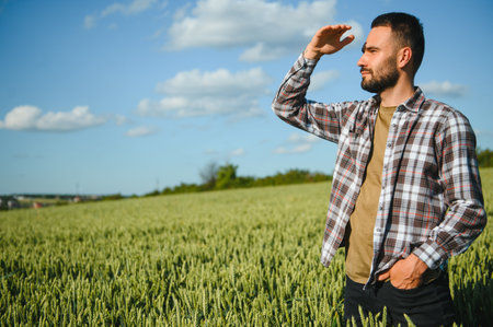 Young farmer walking in a green wheat field examining crop.の写真素材