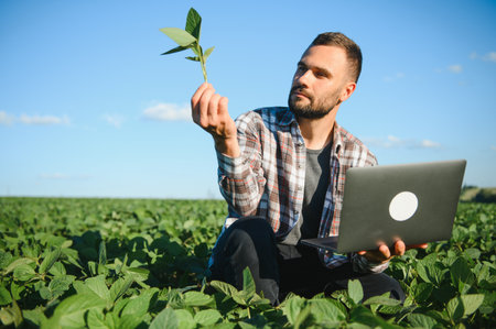 Farmer agronomist on a growing green soybean field. Agricultural industry
