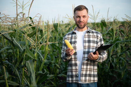 Yong handsome agronomist in the corn field and examining crops before harvesting.の写真素材