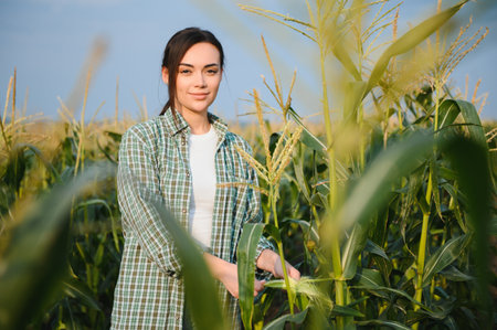 Farmer business woman in corn field. Woman farmer works in corn field. Agricultural business...