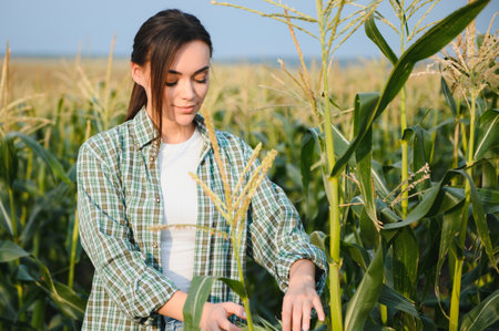 Farmer business woman in corn field. Woman farmer works in corn field. Agricultural business...
