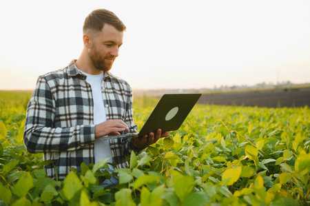 Farmer standing in soybean field at sunset.の写真素材