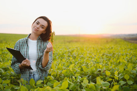 Female farmer or agronomist examining green soybean plants in field.の写真素材