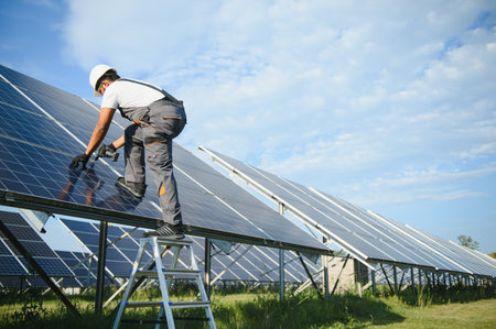 Portrait of handsome Indian worker near solar panels.