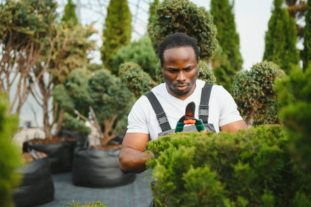 african american male garden worker works.の写真素材