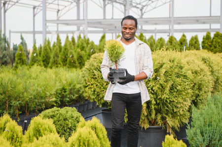 man choosing sprouts in garden center.の写真素材
