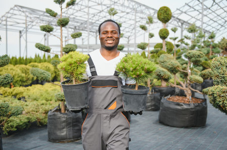 Male employee of garden shopping center inspects product. Department with potted plants, is preparing to advise clients.の写真素材