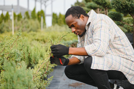 A young African American gardener cuts a tree with scissors. Gardening and tree shop concept.の写真素材