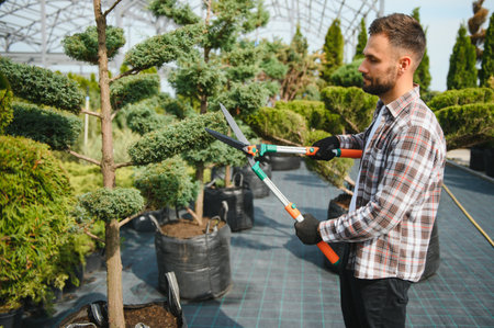Portrait of a young handsome gardener. Shop of tree sprouts
