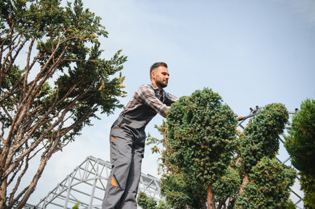 the gardener trims the trees.の写真素材