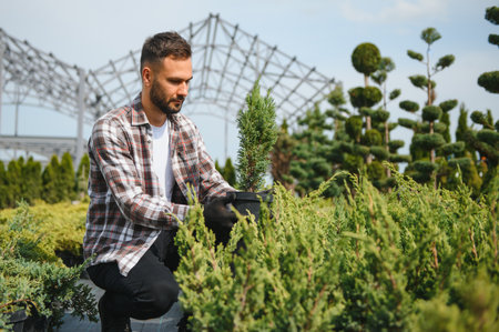 Young male salesman holding pot of thuja in flower shop.