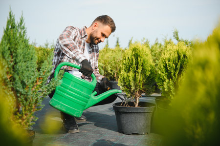 A young gardener cuts a tree with scissors. Gardening and tree shop concept.の写真素材