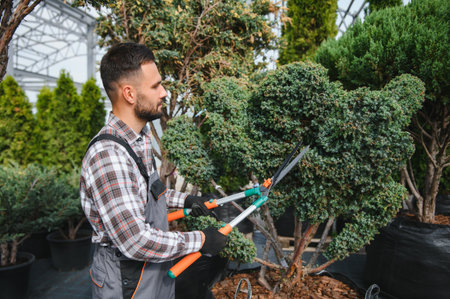 the gardener trims the trees.