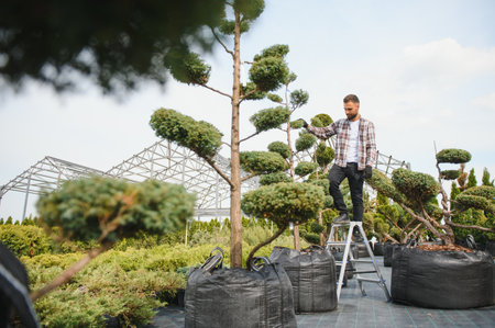 Garden worker trimming trees with scissors.の写真素材