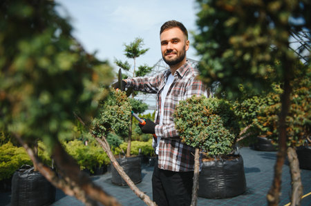 Garden worker trimming trees with scissors.