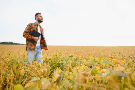 Professional in the soybean field checking and controlling the growth of agricultural crops.の写真素材