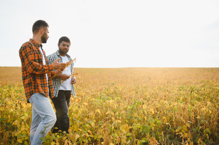 two business farmers walk through the field with soybeans, talking about technology growing...