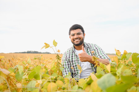 An Indian farmer or agronomist examines the soybean crop in a field.