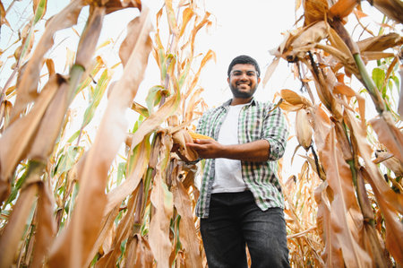 young Indian farmer at corn field.