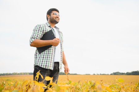 Indian farmer at farm field.の写真素材