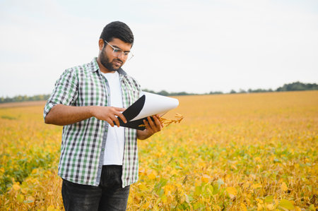 The concept of agriculture. An Indian farmer or agronomist inspects the soybean crop in a field.の写真素材
