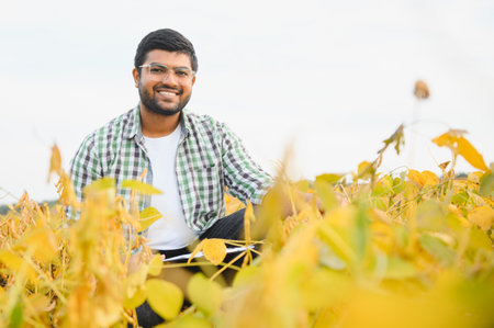 An Indian farmer in a soybean field.の写真素材