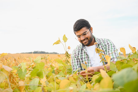 Indian farmer at farm field.の写真素材