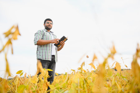 A young Indian farmer works in a soybean field.の写真素材
