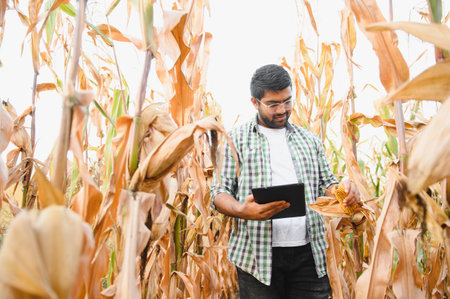 young Indian farmer at corn field.